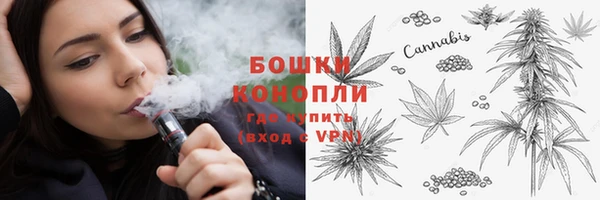 mdpv Богородицк