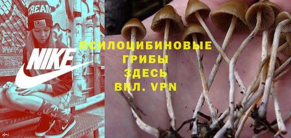 героин Белокуриха