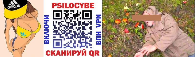 как найти закладки  Кушва  Галлюциногенные грибы мицелий 